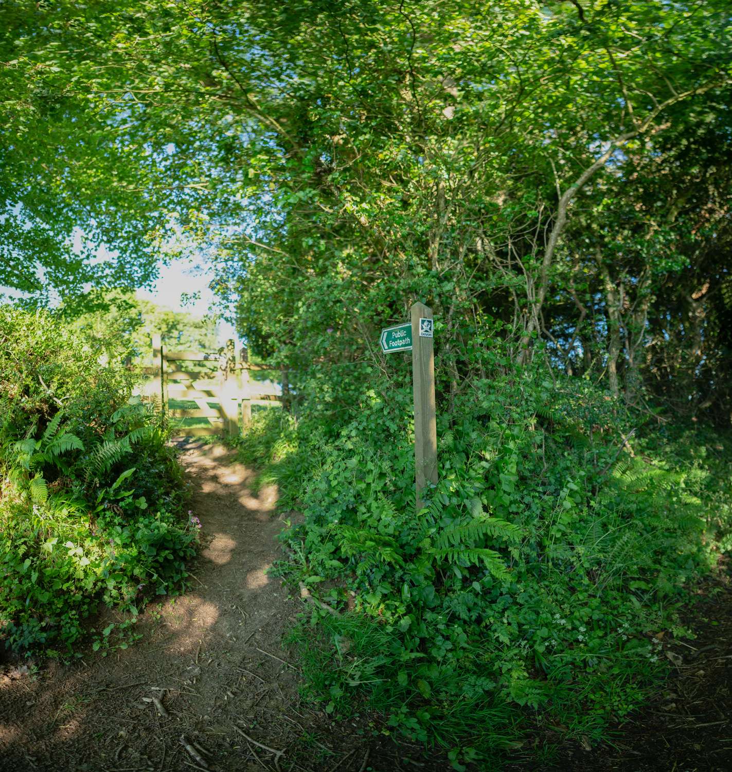 A picture of a public footpath sign