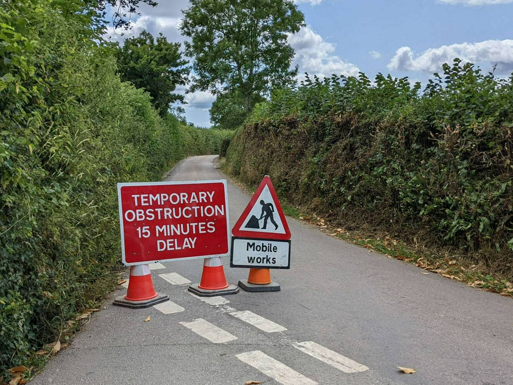 An image of road works signs